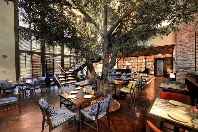 Top Cafes in Riyadh | Best Coffee Shops & Hidden Gems