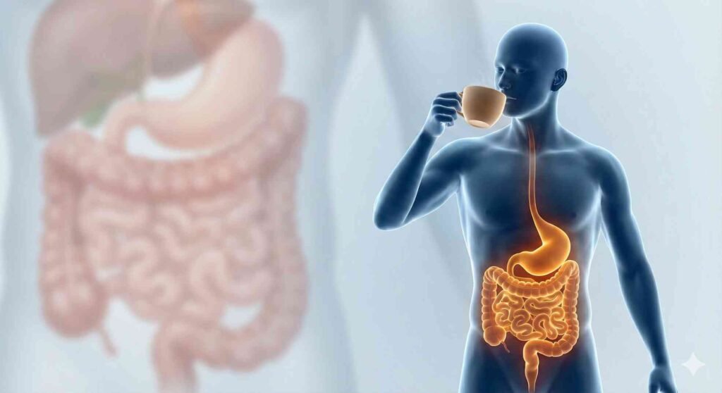 Does Coffee Help With Constipation