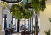 LEEM Speciality Coffee