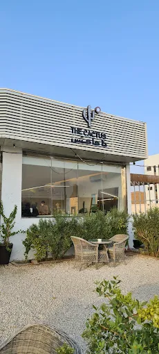 The Cactus
