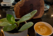 Yotta specialty coffee