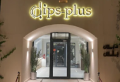 Dips plus