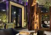 Frieze Cafe