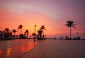 THE BEACH CAFE