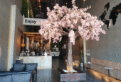GRAPH Cafe