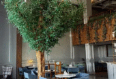 Frieze Cafe