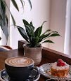 Cup & Couch Cafe and Roastery