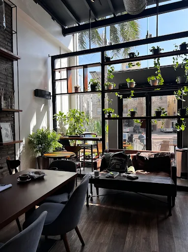 Cup & Couch Cafe and Roastery