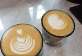 Cupping Cup
