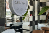 Willow cafe