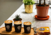 Ocaso Specialty Coffee