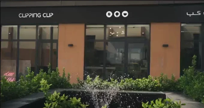 Cupping Cup