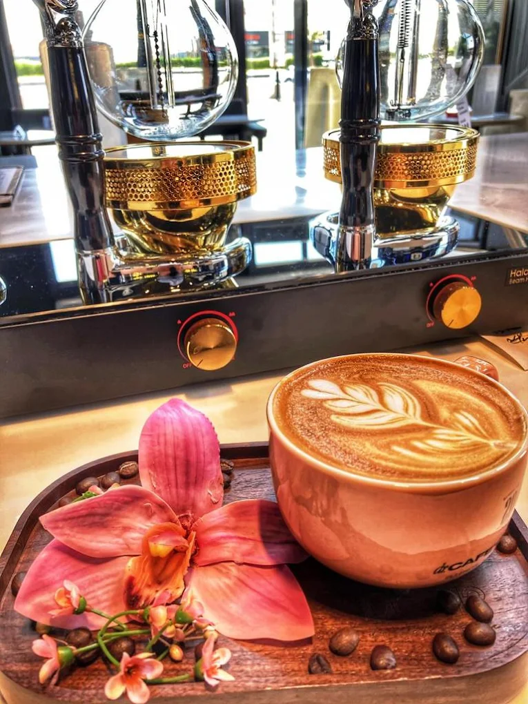 dr.CAFE COFFEE | Manual Brew